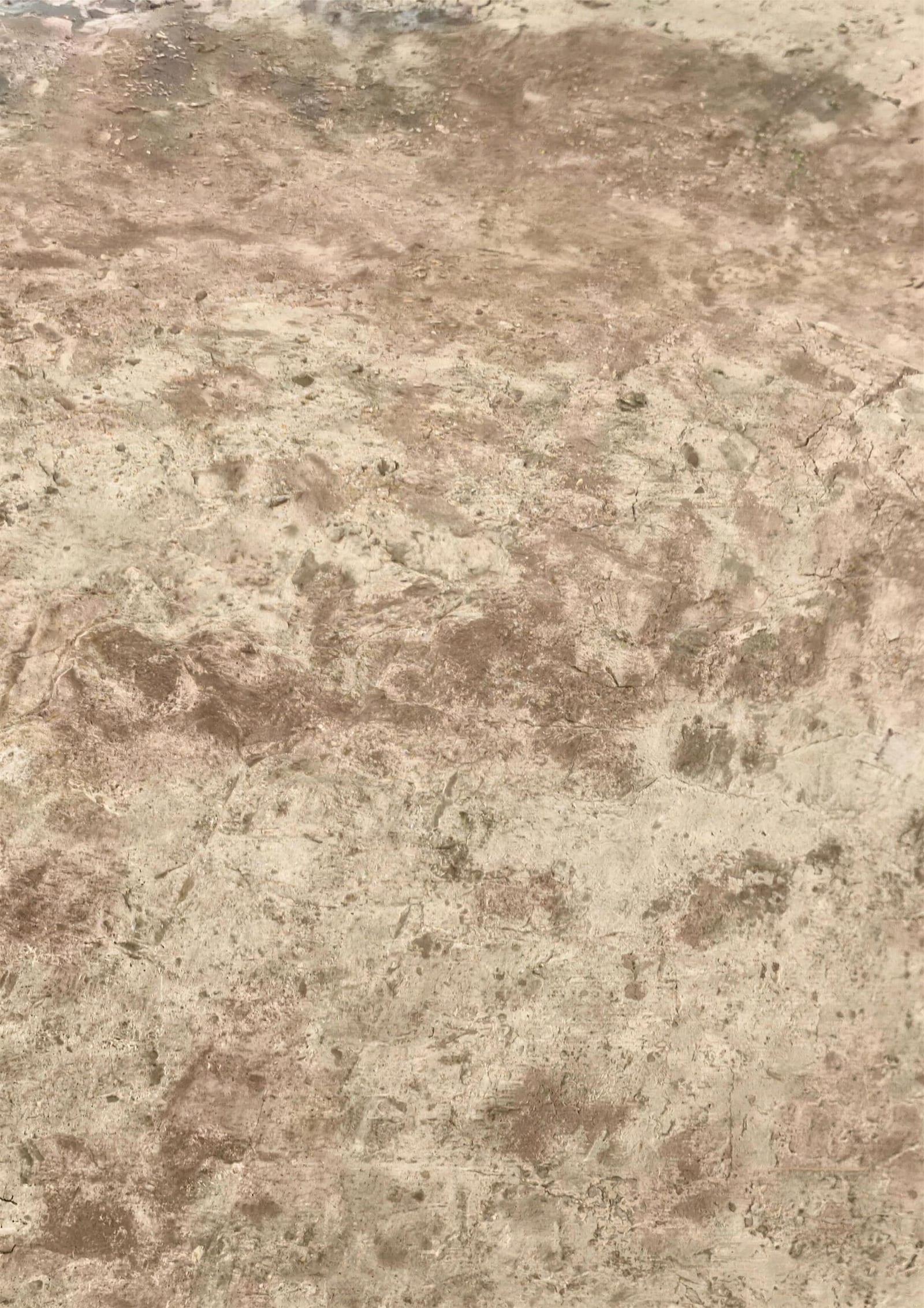 Moca cross-cut: light brown-beige travertine with a mottled, slightly rustic pattern, close-up