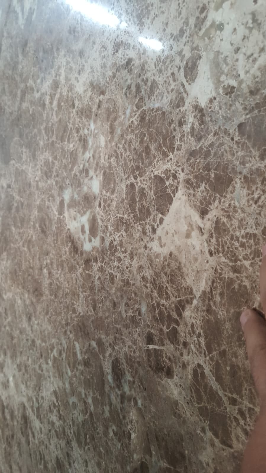 Slab Emperador Dark marble: Emperador Dark marble slab, dark brown with light veins, polished